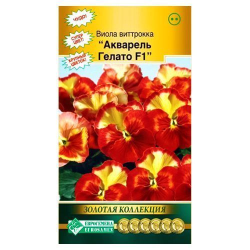 ����  ����� �������� �������� ������ F1 ����������, ������ �� 77 ���