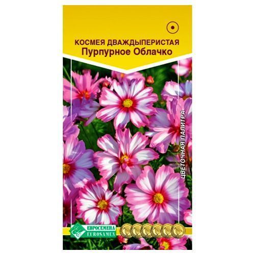 ����  ������ ��������� ������� ����������, ������ �� 35 ���