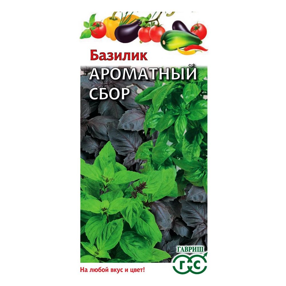 ����  ������� ��������� ����, ����� ������ ������, ������ �� 24 ���