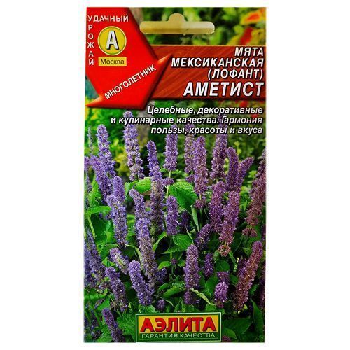 ����  ���� ������������ ������� ������, ������ �� 24 ���