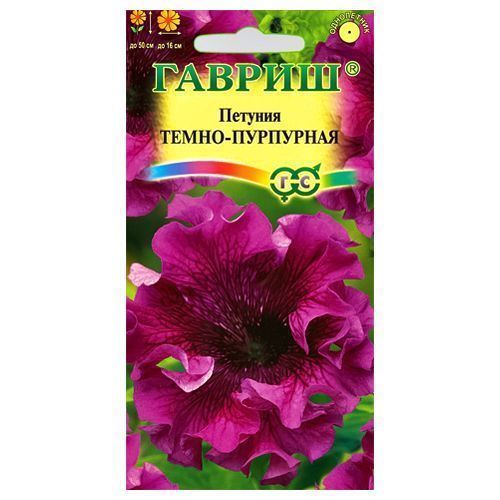 ����  ������� ����������� �����-��������� ������, ������ �� 54 ���