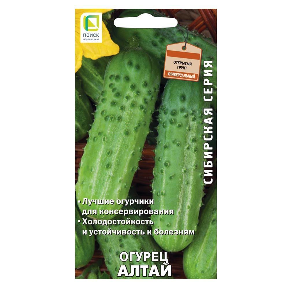 ����  ������ ����� �����, ������ �� 28 ���