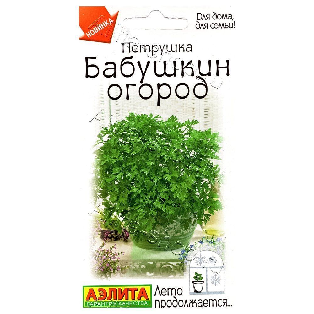 ����  �������� �������� �������� ������ ������, ������ �� 24 ���