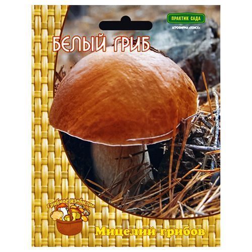 ����  ����� ���� �����, ������ �� 196 ���