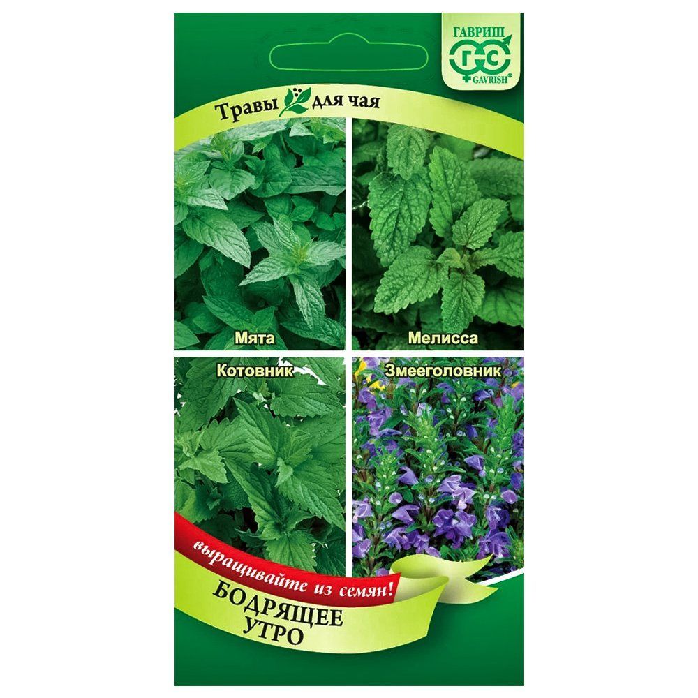 ����  ����� ��� ��� �������� ���� ������, ������ �� 36 ���