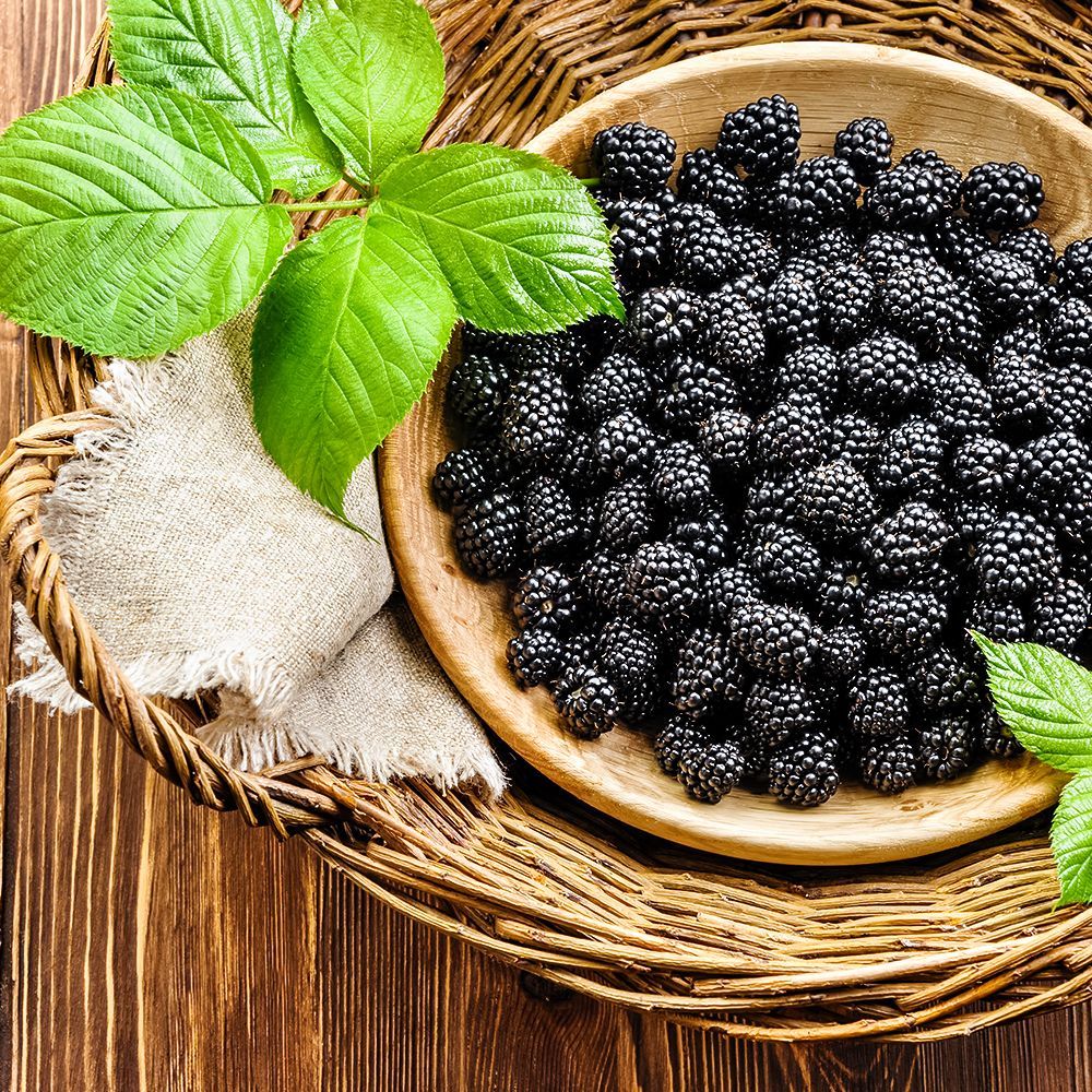 ����  ������� ������������� ������� (������), ������ �� 474 ���