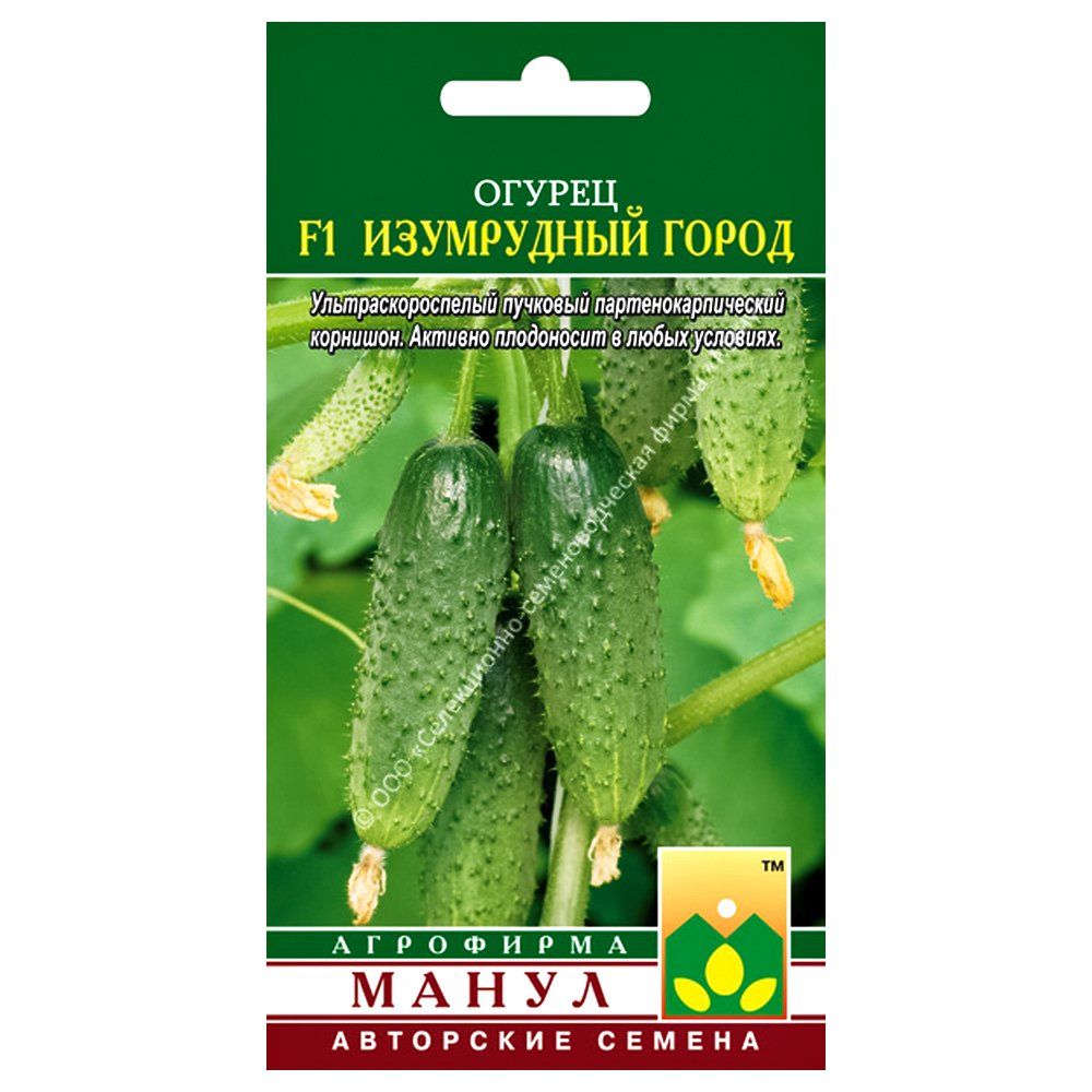 ����  ������ ���������� ����� F1 �����, ������ �� 14 ���