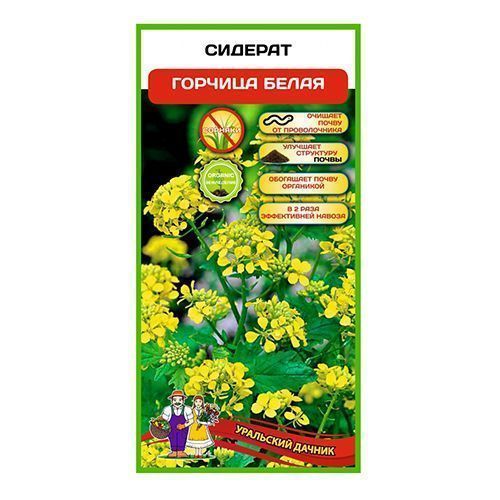 ����  ������� ������� ����� ��������� ������, ������ �� 140 ���