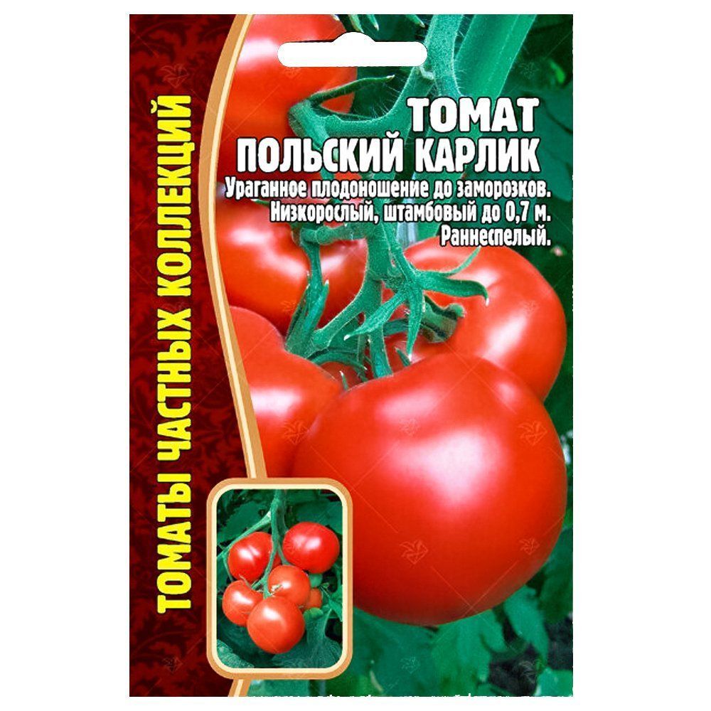 ����  ����� �������� ������ ������ ������, ������ �� 84 ���