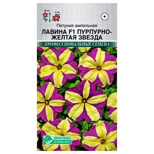 ����  ������� ��������� ������ ��������-������ ������ F1 ����������, ������ �� 56 ���