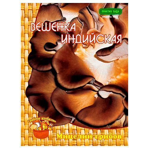 ����  ������� ��������� �����, ������ �� 50 ���