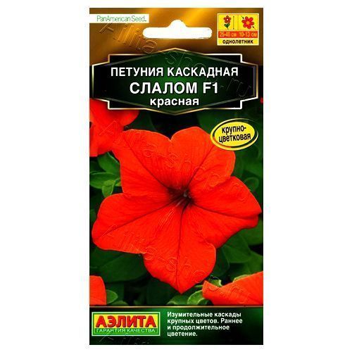 ����  ������� ��������� ������ F1 ������� ������, ������ �� 36 ���