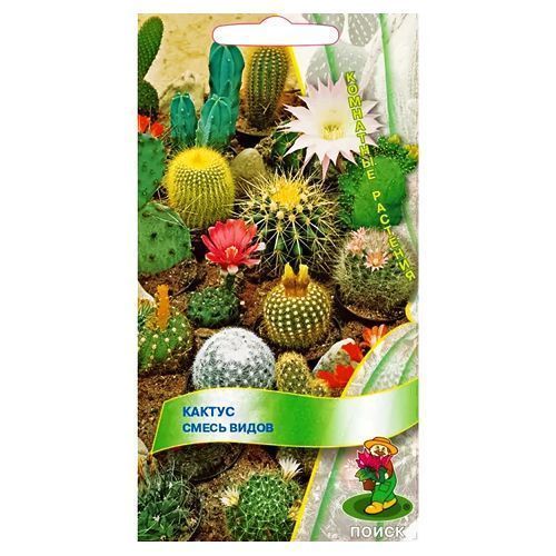 ����  ������, ����� ������ �����, ������ �� 49 ���