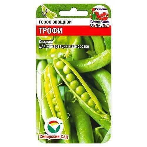 ����  ����� ����� ��������� ���, ������ �� 21 ���