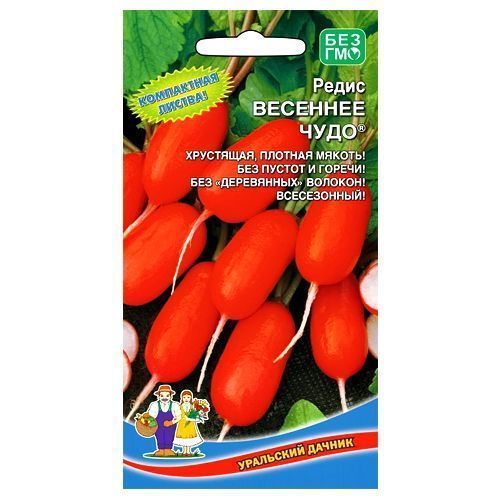 ����  ����� �������� ���� ��������� ������, ������ �� 28 ���