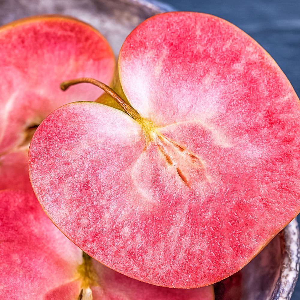 ����  ������ ����������� �������������� ������, ������ �� 296 ���