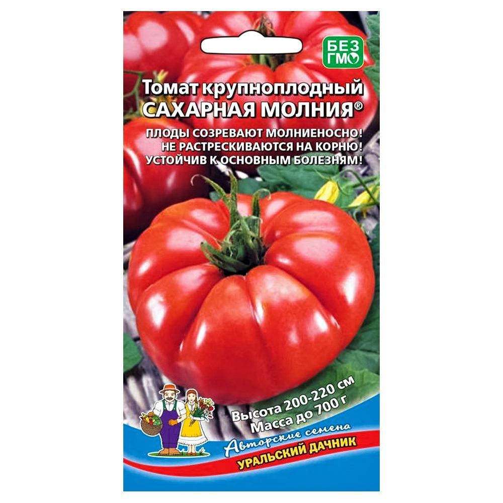 ����  ����� �������� ������ ��������� ������, ������ �� 28 ���