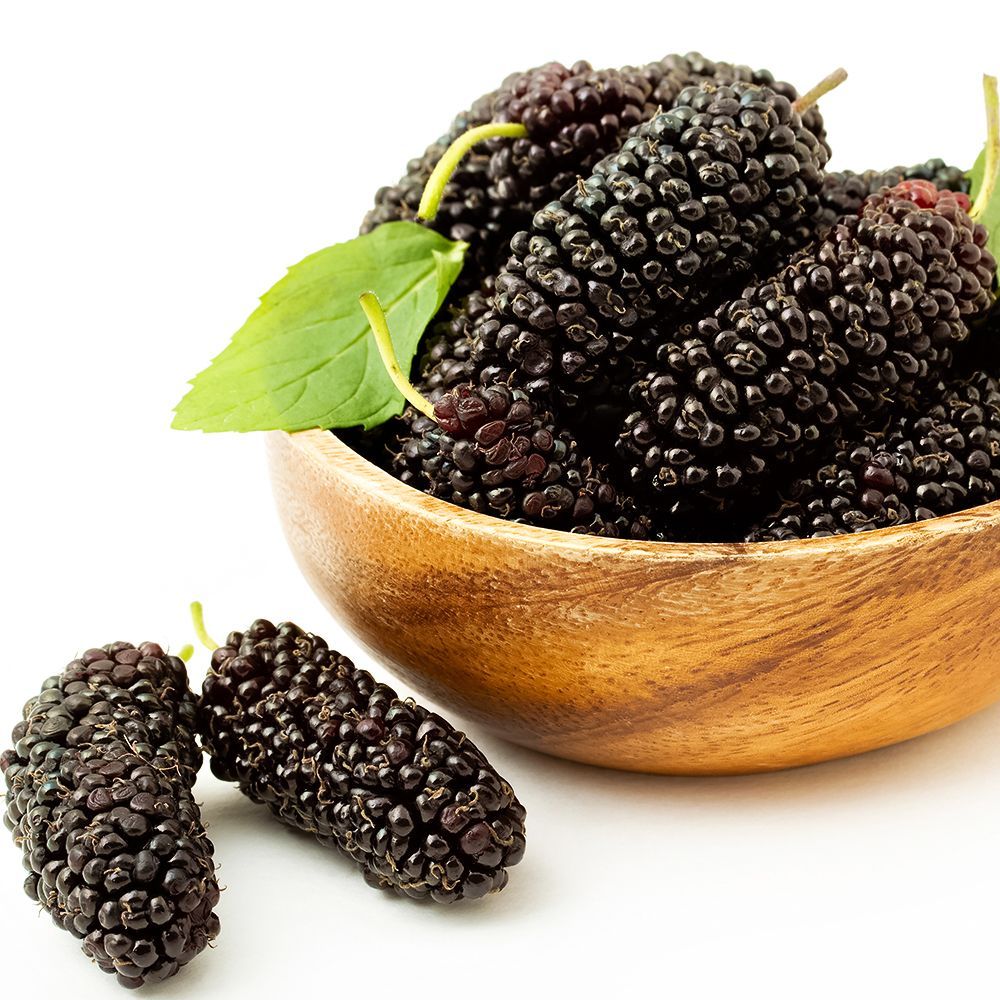 ����  ��������� ��������� �������� �����������, ������ �� 429 ���