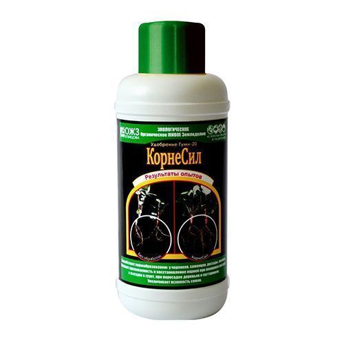 ����  ���� 20 ��������, ���������� ���������������� 0,5 �, ������ �� 182 ���