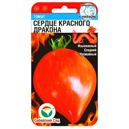 ����  ����� ������ �������� ������� ��������� ���, ������ �� 42 ���