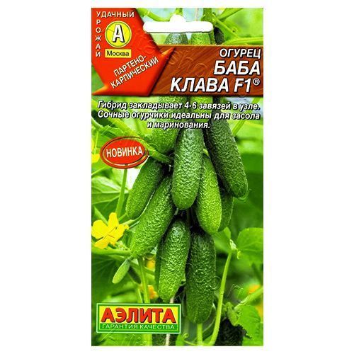 ����  ������ ���� ����� F1 ������, ������ �� 42 ���