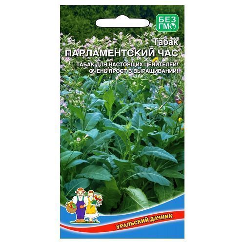 ����  ����� ����������� ������������� ��� ��������� ������, ������ �� 10 ���