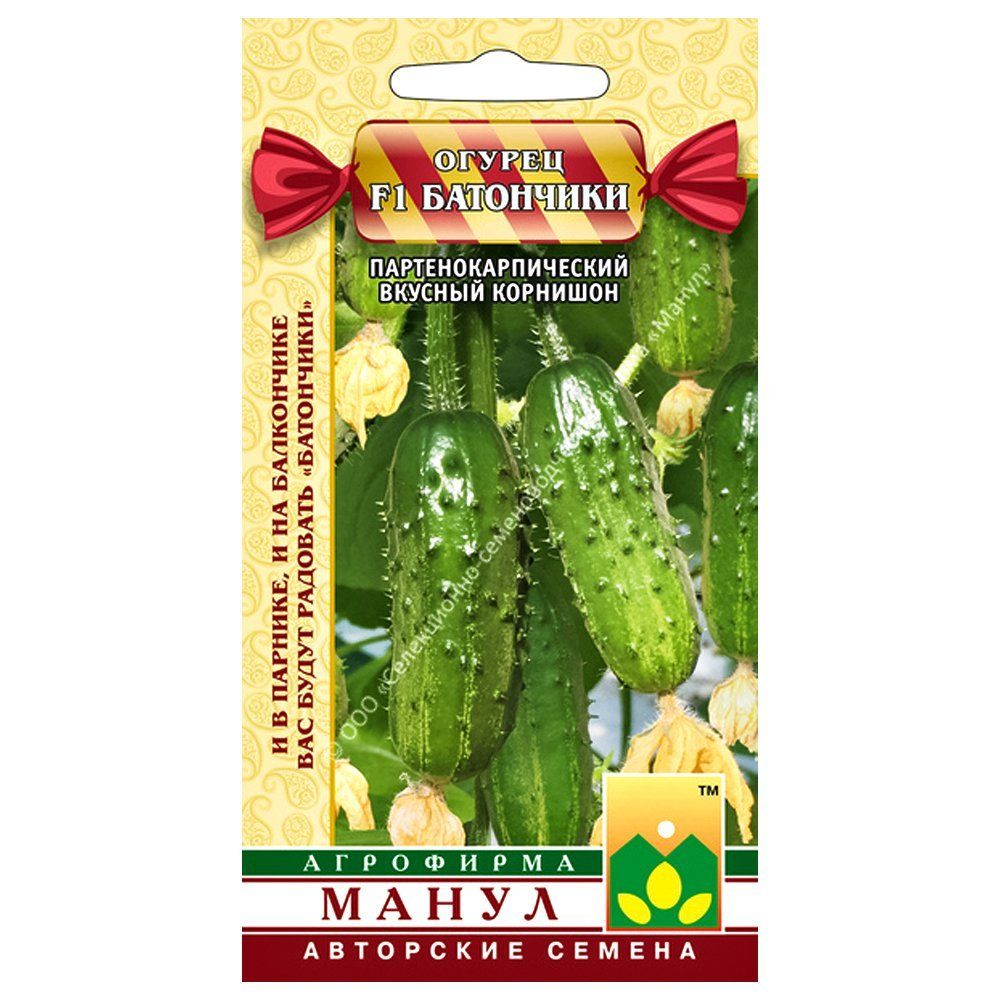 ����  ������ ��������� F1 �����, ������ �� 16 ���