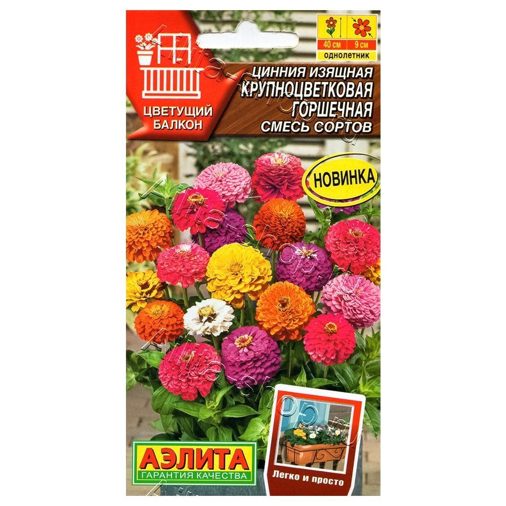 ����  ������ ��������������� ���������, ����� ������� ������, ������ �� 60 ���