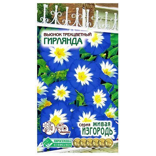 ����  ������ ����������� �������� ����������, ������ �� 35 ���