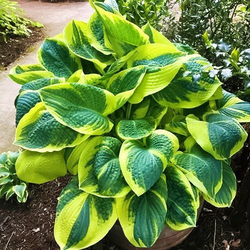 ����  ����� ���� �� ����, ������ �� 830 ���