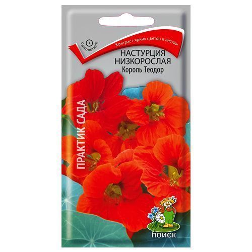 ����  ��������� ����������� ������ ������ �����, ������ �� 21 ���