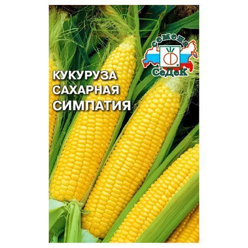 ����  �������� �������� F1 �����, ������ �� 12 ���