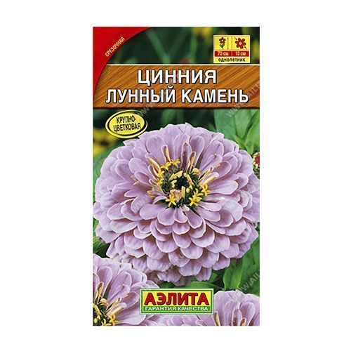 ����  ������ ������ ������ ������, ������ �� 24 ���