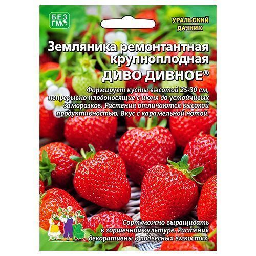 ����  ��������� ������������ ���� ������ ��������� ������, ������ �� 84 ���