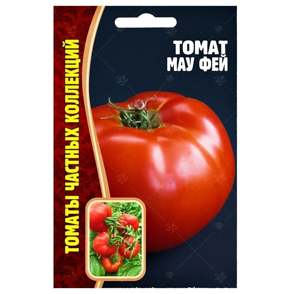 ����  ����� ��� ��� ������ ������, ������ �� 84 ���