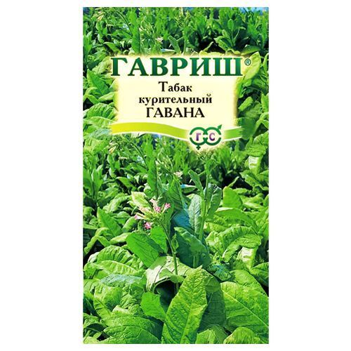 ����  ����� ����������� ������ ������, ������ �� 30 ���