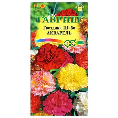 ����  �������� ������� ���� ��������, ����� ������� ������, ������ �� 24 ���