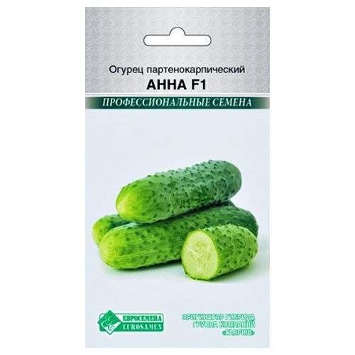 ����  ������ ���� F1 ����������, ������ �� 24 ���