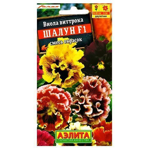 ����  ����� ����� F1, ����� ������� ������, ������ �� 48 ���