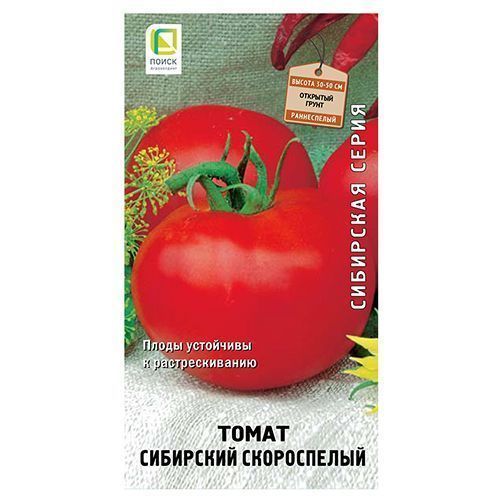 ����  ����� ��������� ����������� �����, ������ �� 28 ���