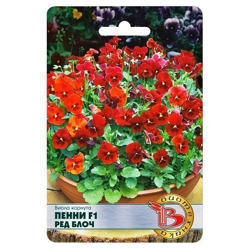 ����  ����� ������� ����� ��� ���� F1 ����������, ������ �� 182 ���