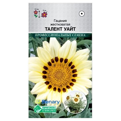 ����  ������� ������ ���� ����������, ������ �� 56 ���