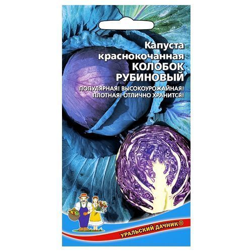 ����  ������� �������������� ������� ��������� ��������� ������, ������ �� 28 ���