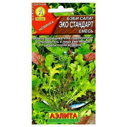 ����  ���� ����� ��� ��������, ����� ������ ������, ������ �� 24 ���