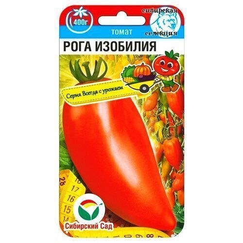 ����  ����� ���� �������� ��������� ���, ������ �� 35 ���