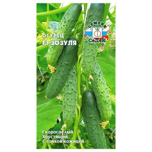 ����  ������ ������ F1 �����, ������ �� 30 ���