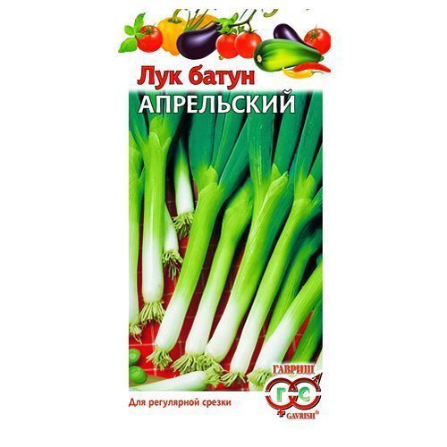 ����  ��� ����� ���������� ������, ������ �� 24 ���