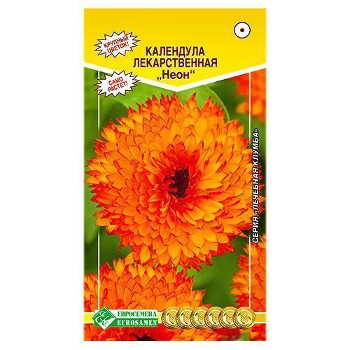 ����  ��������� ������������� ���� ����������, ������ �� 28 ���