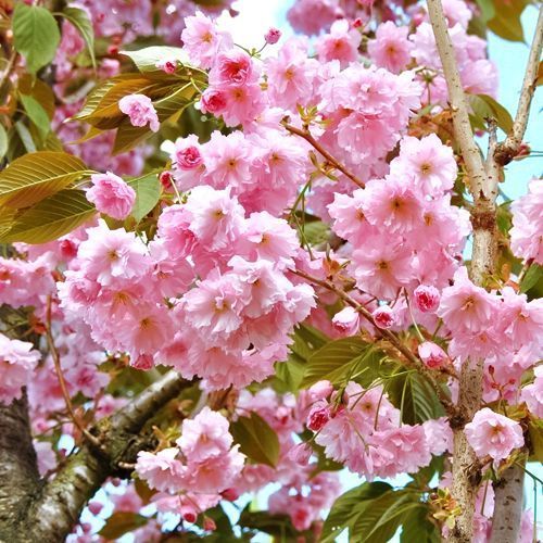 ����  ������ �������, ������ �� 1395 ���