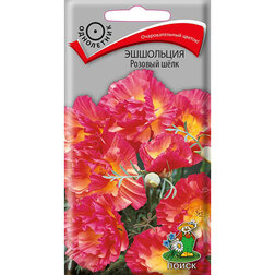 ����  ��������� ������� ����, ������ �� 43 ���